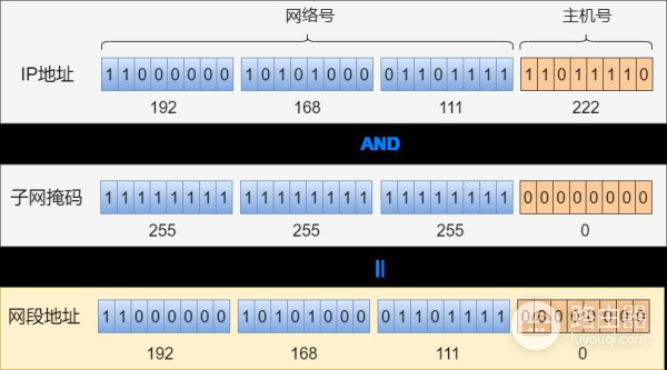 75张图带你了解网络设备(网络设备图片)