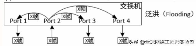 局域网交换机基础(交换机与局域网)