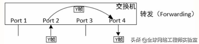 局域网交换机基础(交换机与局域网)