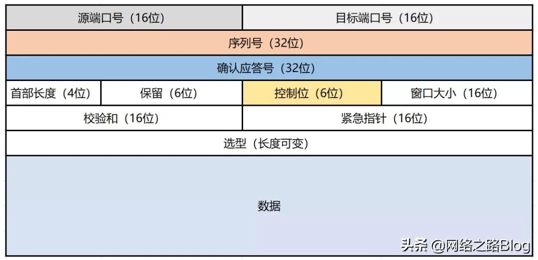 初识TCP，实验加抓包带你理解为什么需要三次握手、四次挥手