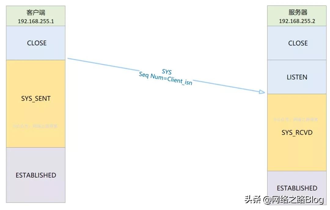 初识TCP，实验加抓包带你理解为什么需要三次握手、四次挥手