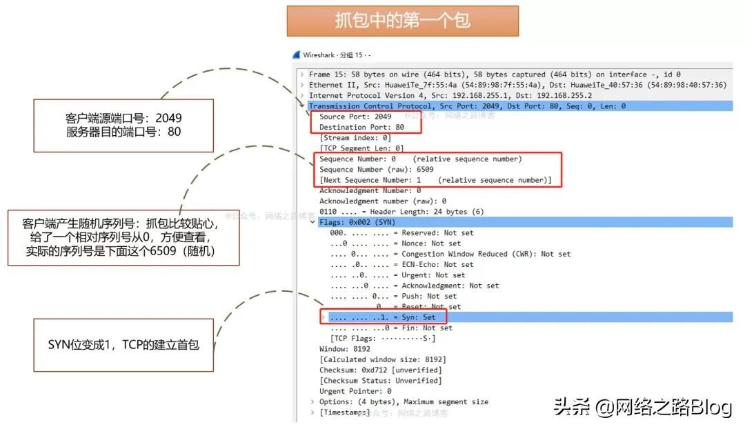 初识TCP，实验加抓包带你理解为什么需要三次握手、四次挥手