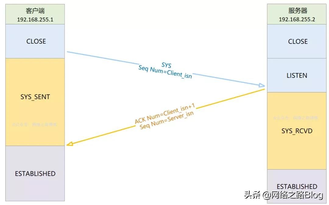 初识TCP，实验加抓包带你理解为什么需要三次握手、四次挥手