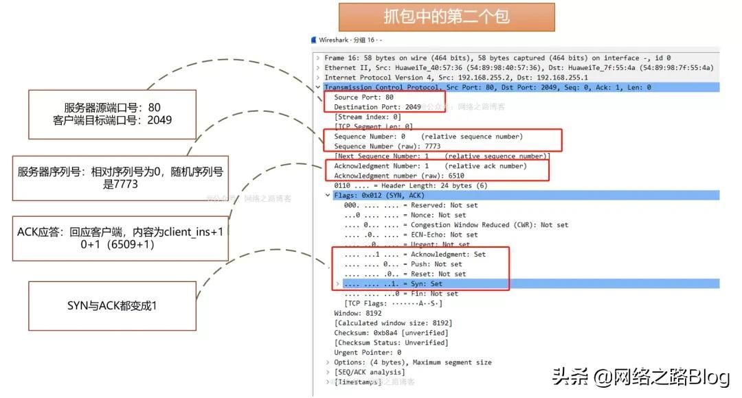 初识TCP，实验加抓包带你理解为什么需要三次握手、四次挥手