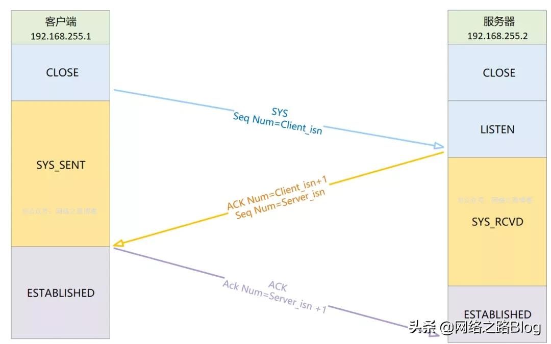 初识TCP，实验加抓包带你理解为什么需要三次握手、四次挥手