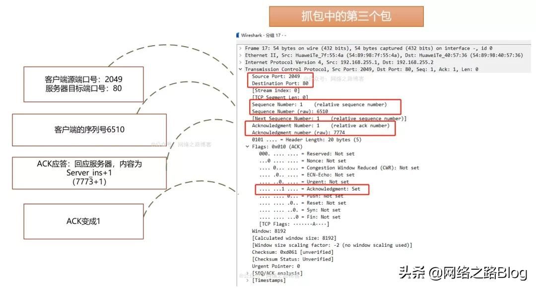 初识TCP，实验加抓包带你理解为什么需要三次握手、四次挥手