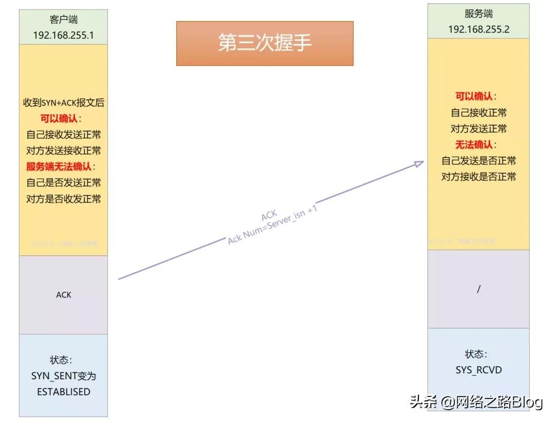 初识TCP，实验加抓包带你理解为什么需要三次握手、四次挥手