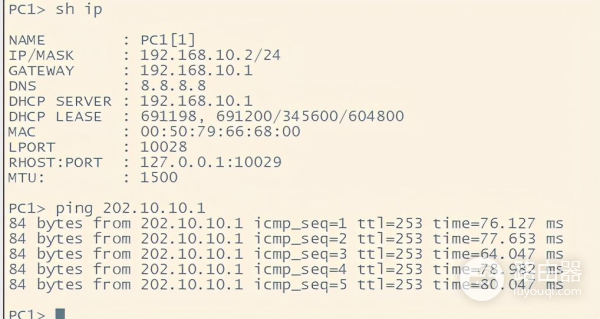 NAT技术在网络设备中的应用