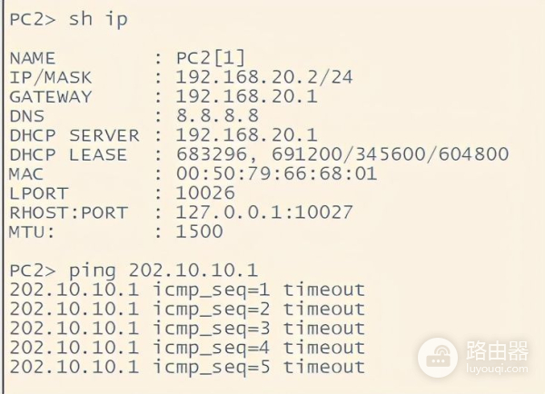 NAT技术在网络设备中的应用