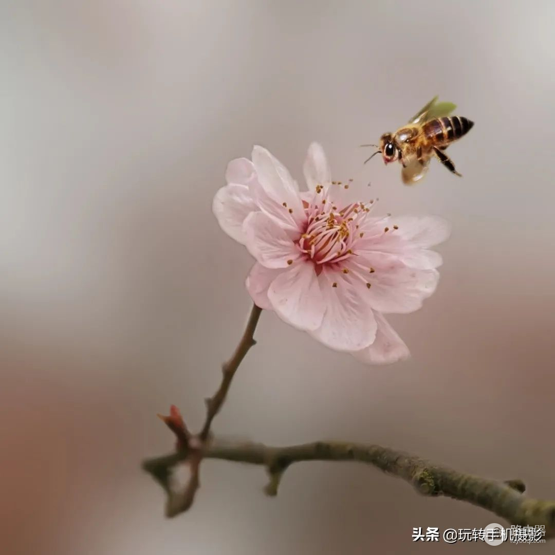 超赞！解锁微距慢动作，挖掘手机新玩法