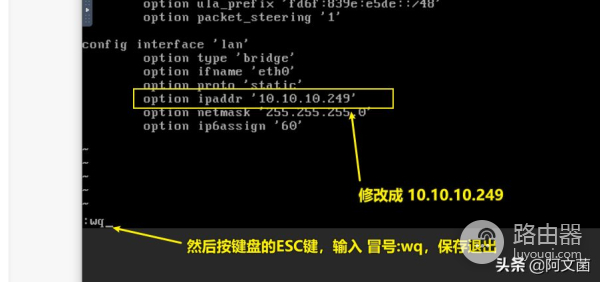 UNRAID系统安装双软路由保姆级教程