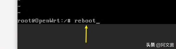 UNRAID系统安装双软路由保姆级教程