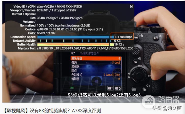 UNRAID系统安装双软路由保姆级教程