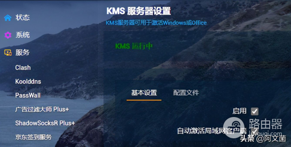 UNRAID系统安装双软路由保姆级教程