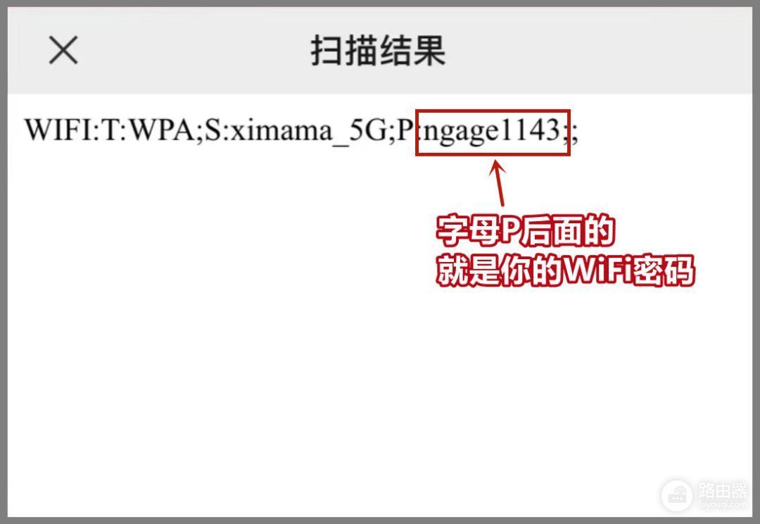 WiFi密码忘记怎么办(WiFi密码忘记怎么办怎)