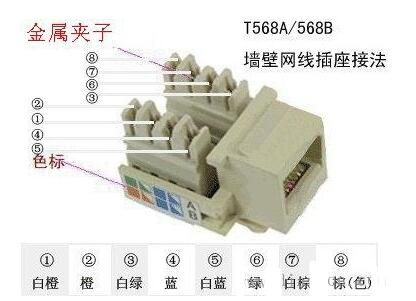 网线面板如何接线(网线面板怎么接线)