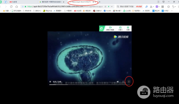 网页中的视频如何下载到电脑上(电脑如何下载视频)
