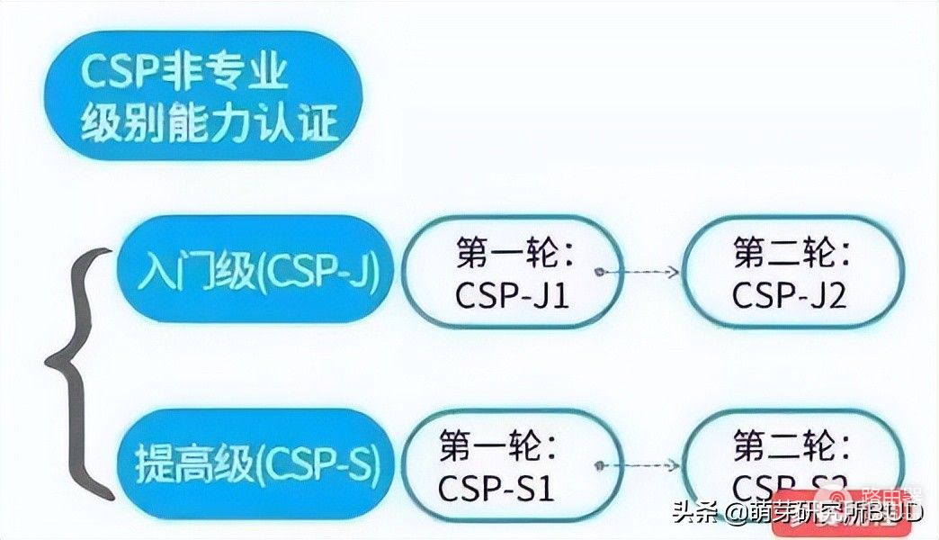 编程到底怎么学(如何学电脑编程)