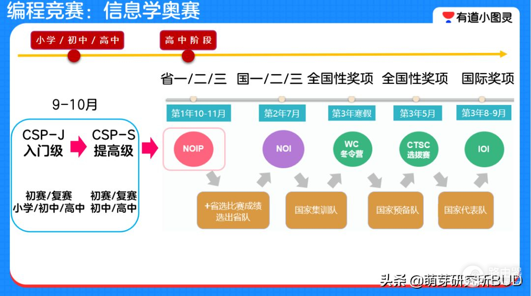 编程到底怎么学(如何学电脑编程)