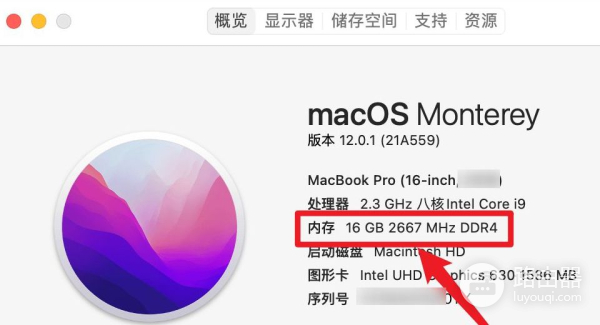 如何查看自己电脑内存条的信息(如何查看电脑的内存条)