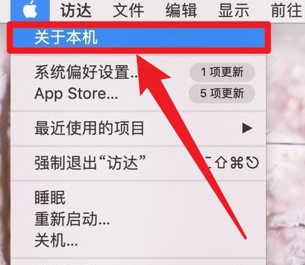 如何查看自己电脑内存条的信息(如何查看电脑的内存条)