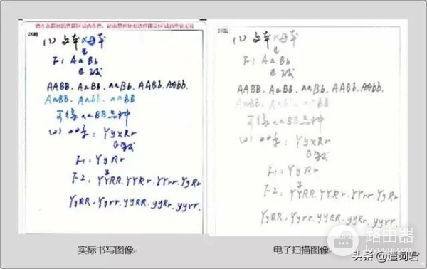 电脑阅卷全流程(电脑如何阅卷)