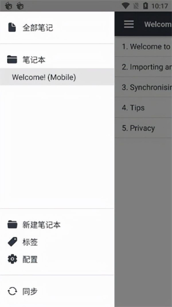 怎么设置中文(电脑如何转换中文)