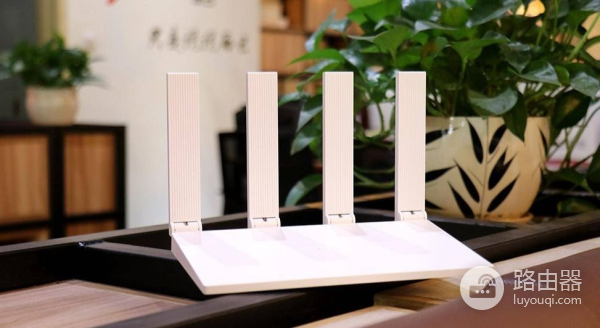 应该选择什么样的路由器(复式如何选择路由器)
