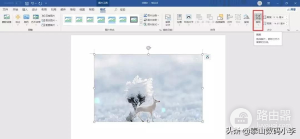 现在教大家如何用Word简单修图(电脑如何修图)