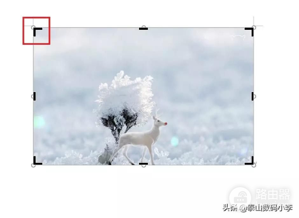 现在教大家如何用Word简单修图(电脑如何修图)