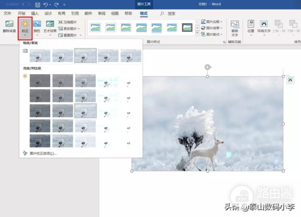 现在教大家如何用Word简单修图(电脑如何修图)