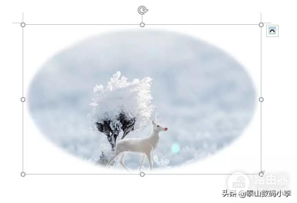 现在教大家如何用Word简单修图(电脑如何修图)