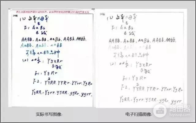 高考电脑阅卷流程！来看看你的卷子在电脑系统里变成了什么？