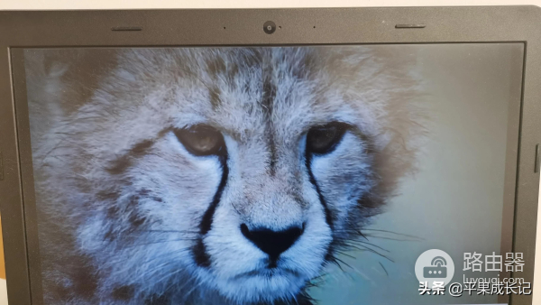 如何电脑投屏到电视(如何电脑投屏)