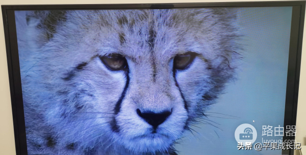 如何电脑投屏到电视(如何电脑投屏)