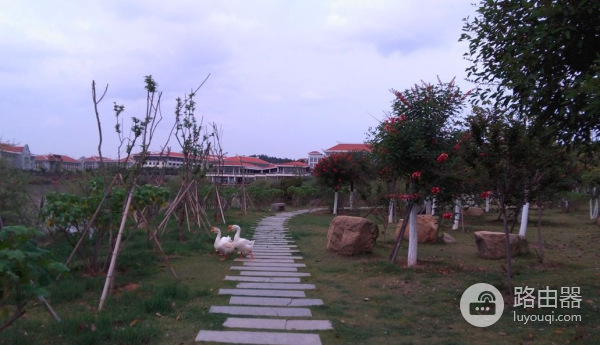 如何消灭电脑病毒(电脑如何查杀病毒)