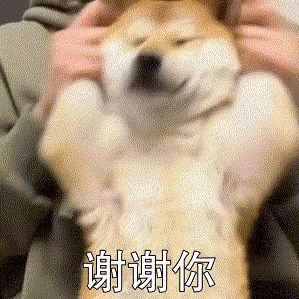 10后不太会用电脑(90后不会用电脑)