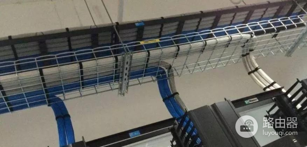 传输速率真的和网线粗细有关吗(网速和网线粗细有关吗)