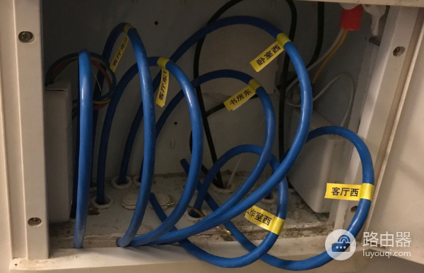 除了网线之外还得关注插头(除了网线之外还得关注插头吗)