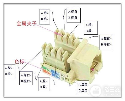 电脑网线插座怎么接(电脑如何插网线)