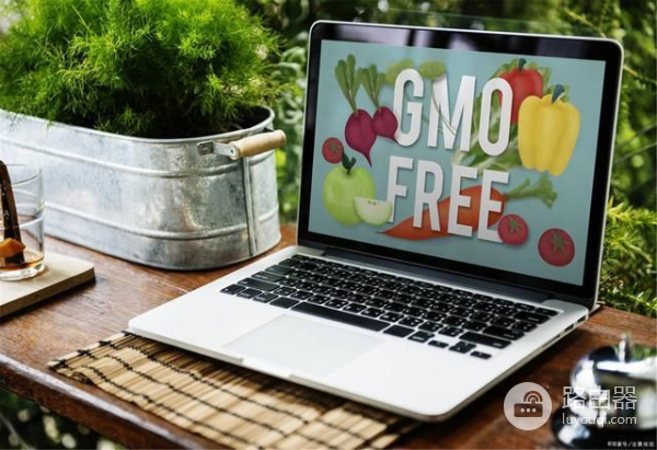 笔记本电脑的构成(笔记本电脑的构成图片)