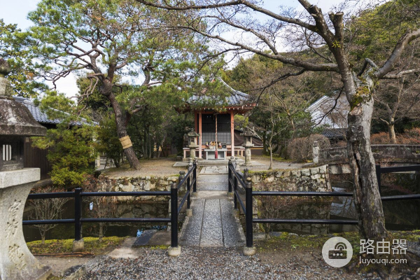 人类是被封印的超级电脑