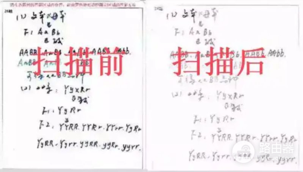 电脑扫描过的网红字体(所有网红字体)