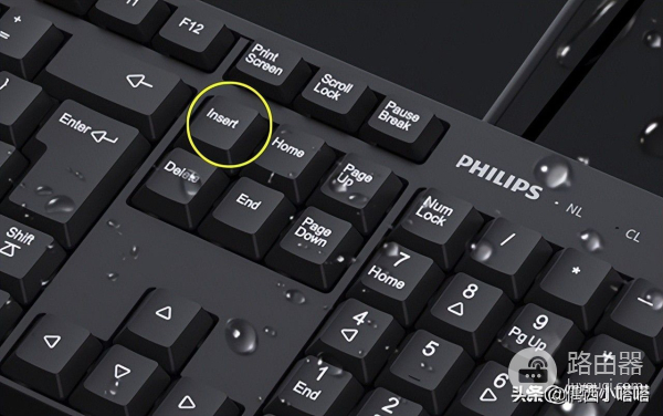 Word里改写和插入切换的2种方式(word改写如何切换)