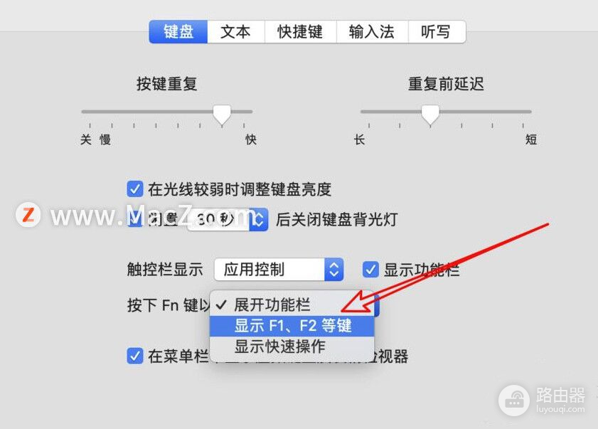 Macbook如何开启F1(电脑如何开启键盘)