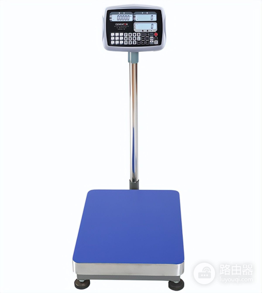 电子秤如何将称重数据上传到电脑系统(电子秤怎么连接电脑称重)