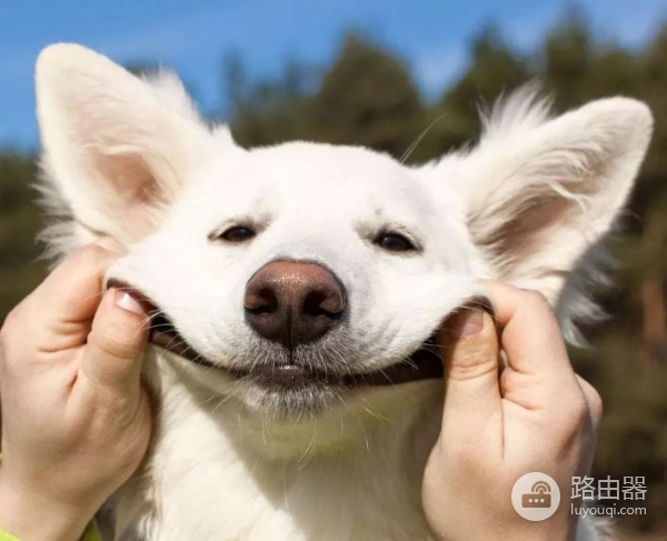 电脑打印为什么会出现乱码(打印机为什么会出现乱码)