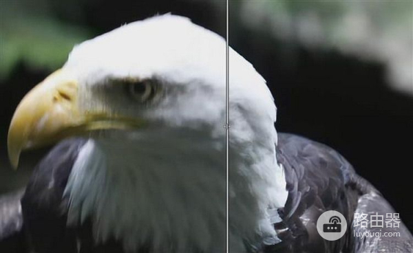 电脑有没有手机一样的AI技术?其实有,但没启用