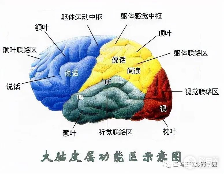 如何升级硬件和软件(电脑硬件如何升级)