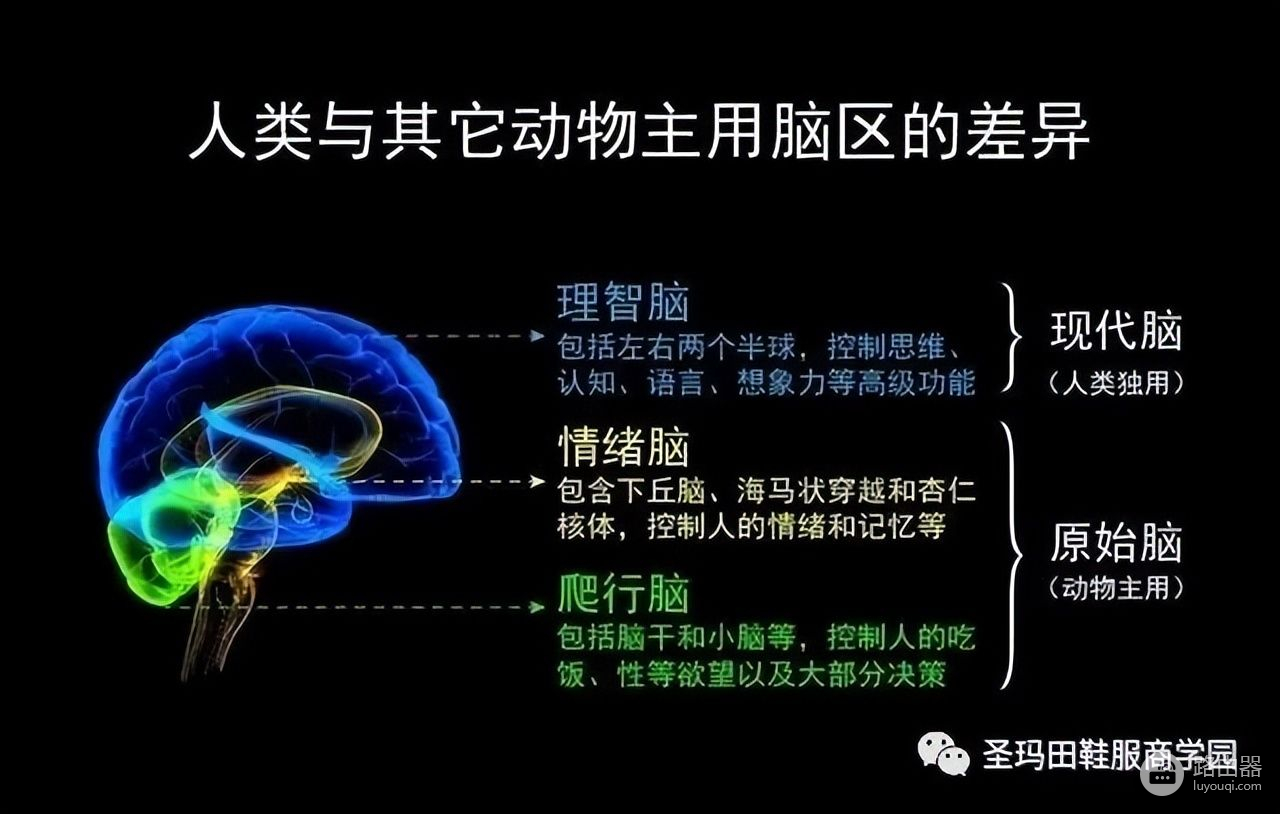 如何升级硬件和软件(电脑硬件如何升级)